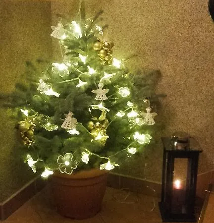 Pod Wyciagiem Zakopane