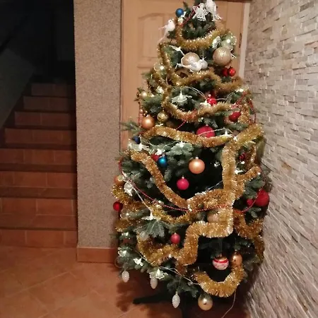 Pod Wyciagiem Закопане