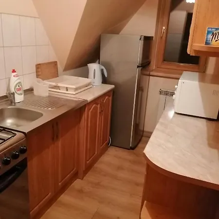 Проживание в семье Pod Wyciagiem