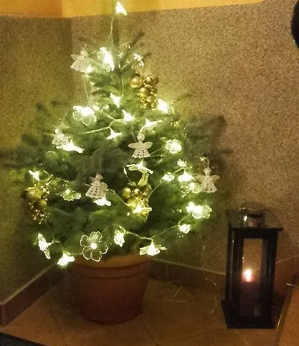 Pod Wyciagiem Zakopane