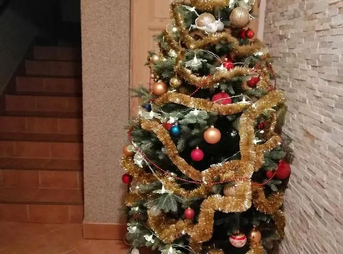 Pod Wyciagiem Zakopane